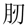 肕字五行属什么-肕字起名的寓意-肕字意思