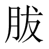 胈字五行属什么-胈字起名的寓意-胈字意思