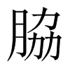 脇字五行属什么-脇字起名的寓意-脇字意思