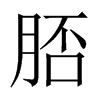 脴字五行属什么-脴字起名的寓意-脴字意思