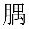 腢字五行属什么-腢字起名的寓意-腢字意思