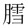 膤字五行属什么-膤字起名的寓意-膤字意思