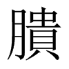 膭字五行属什么-膭字起名的寓意-膭字意思