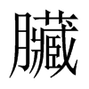 臟字五行属什么-臟字起名的寓意-臟字意思