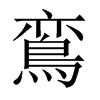 鵉字五行属什么-鵉字起名的寓意-鵉字意思