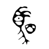駟字五行属什么-駟字起名的寓意-駟字意思