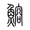 鰫字五行属什么-鰫字起名的寓意-鰫字意思