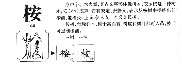 桉字五行属什么-桉字起名的寓意-桉字意思