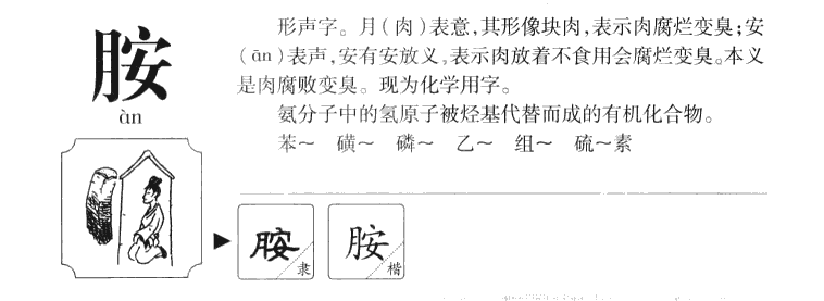 胺字五行属什么-胺字起名的寓意-胺字意思