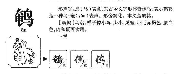 鹌字五行属什么-鹌字起名的寓意-鹌字意思