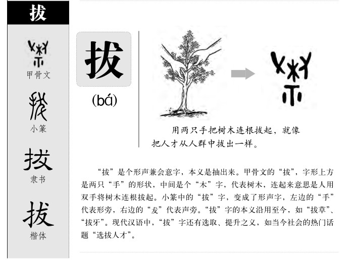 拔字五行属什么-拔字起名的寓意-拔字意思