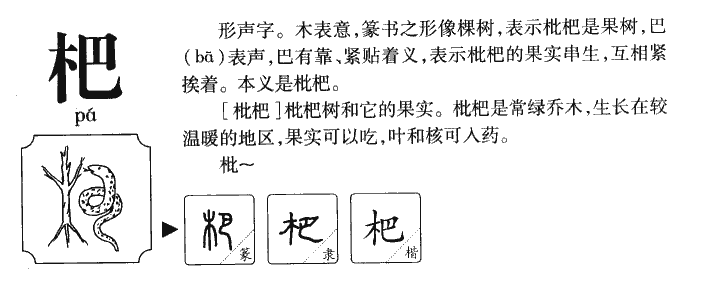 杷字五行属什么-杷字起名的寓意-杷字意思