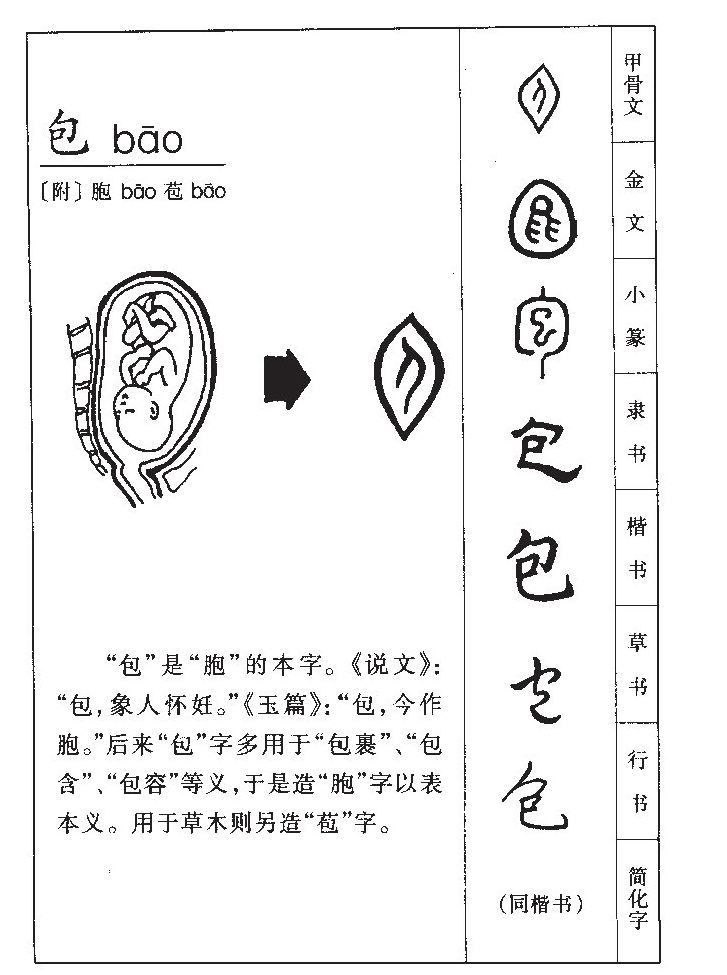 包字五行属什么-包字起名的寓意-包字意思