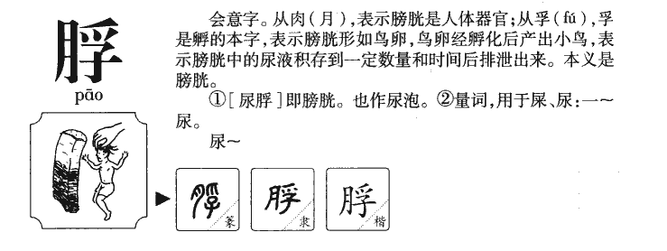 脬字五行属什么-脬字起名的寓意-脬字意思