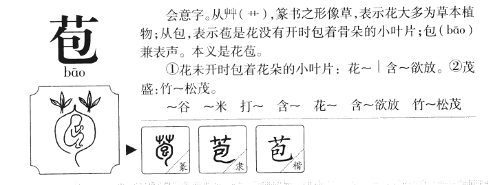 苞字五行属什么-苞字起名的寓意-苞字意思