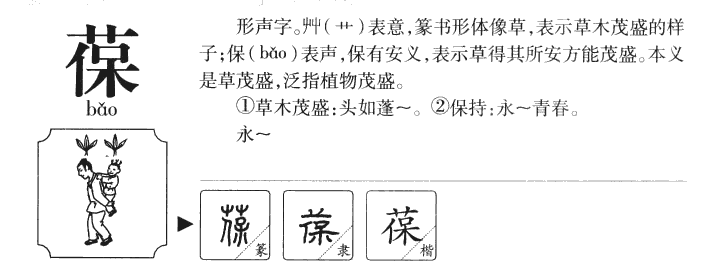 葆字五行属什么-葆字起名的寓意-葆字意思