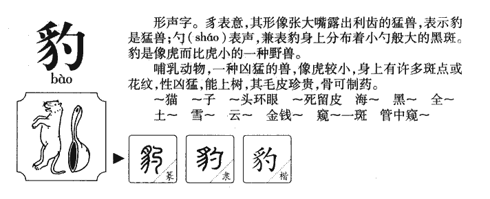 豹字五行属什么-豹字起名的寓意-豹字意思