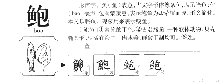 鲍字五行属什么-鲍字起名的寓意-鲍字意思