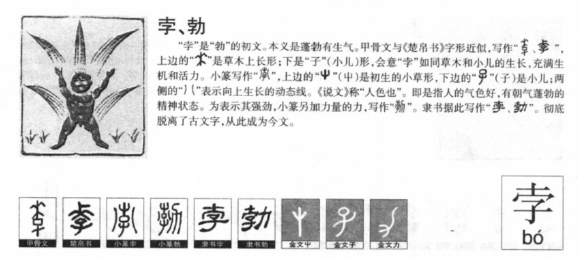 孛字五行属什么-孛字起名的寓意-孛字意思