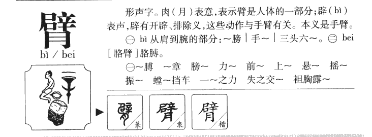 臂字五行属什么-臂字起名的寓意-臂字意思