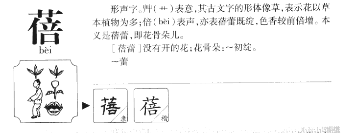 蓓字五行属什么-蓓字起名的寓意-蓓字意思