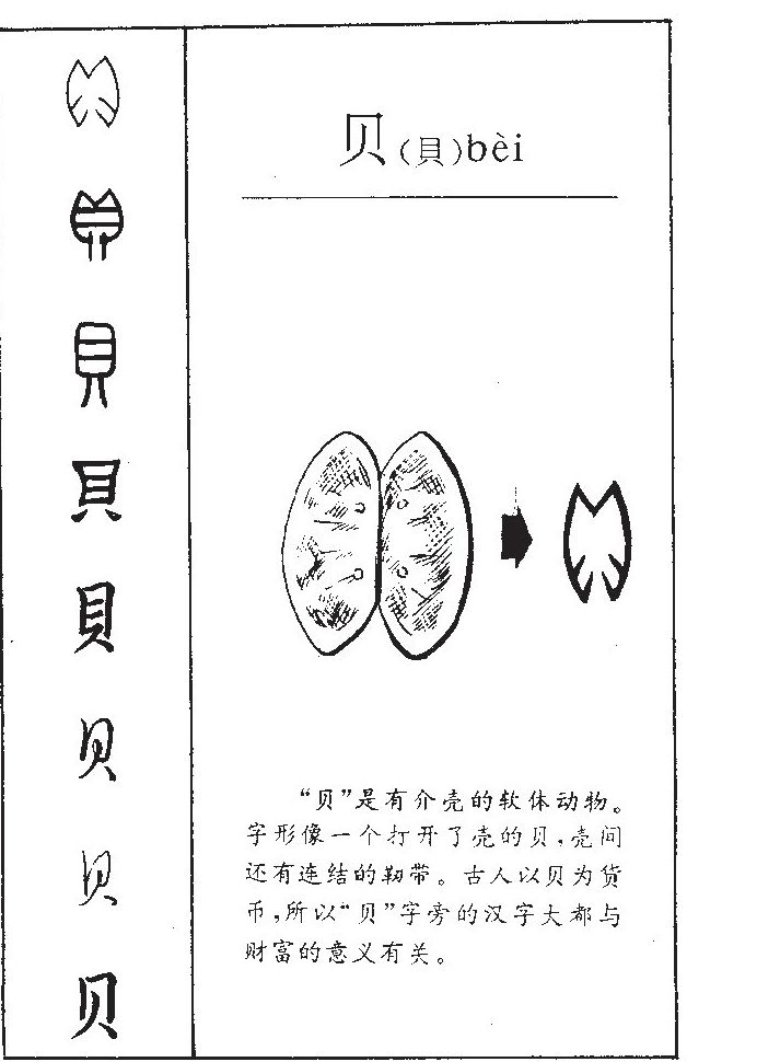 贝字五行属什么-贝字起名的寓意-贝字意思