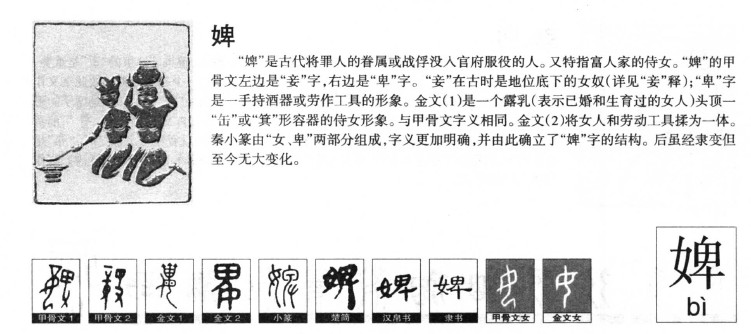 婢字五行属什么-婢字起名的寓意-婢字意思