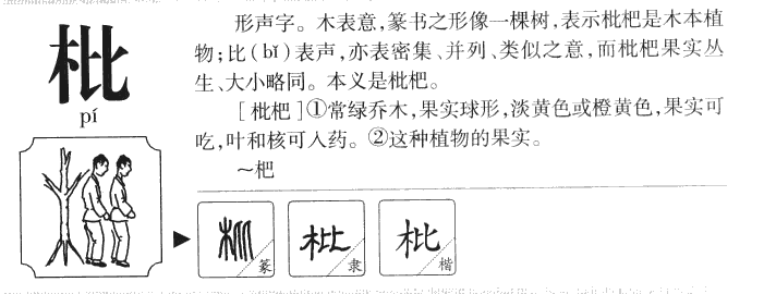 枇字五行属什么-枇字起名的寓意-枇字意思