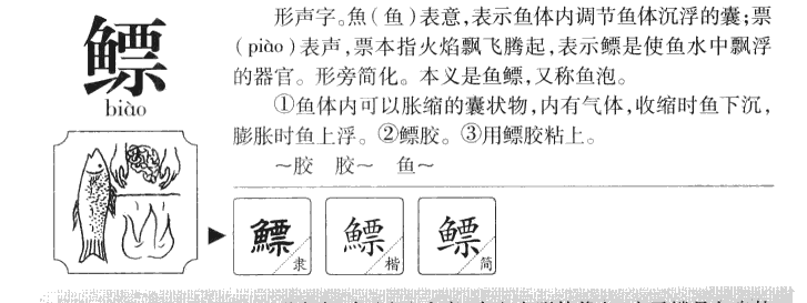 鳔字五行属什么-鳔字起名的寓意-鳔字意思
