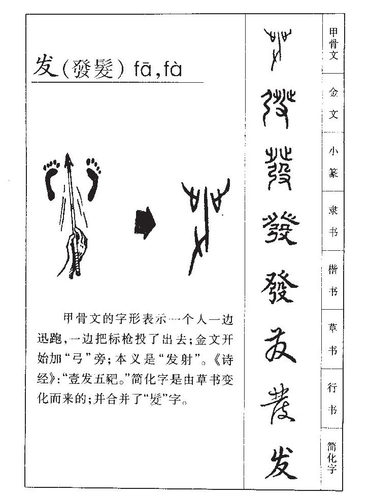 发字五行属什么-发字起名的寓意-发字意思