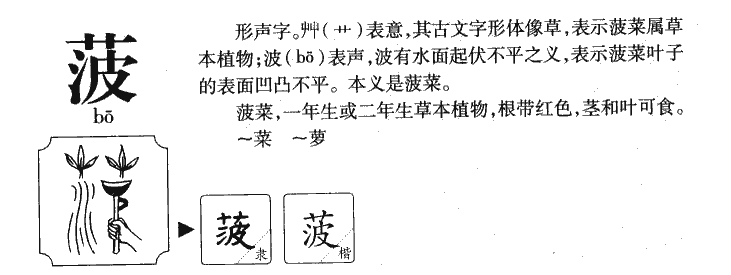 菠字五行属什么-菠字起名的寓意-菠字意思