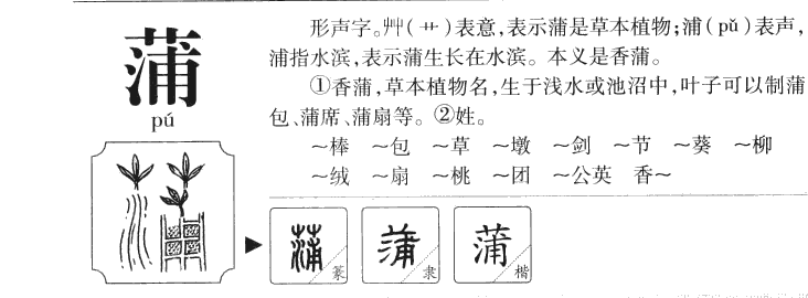 蒲字五行属什么-蒲字起名的寓意-蒲字意思