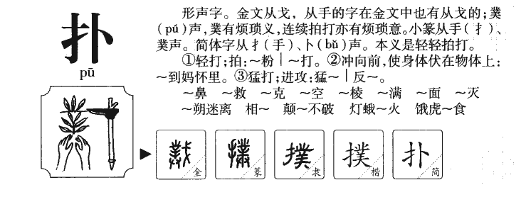 扑字五行属什么-扑字起名的寓意-扑字意思