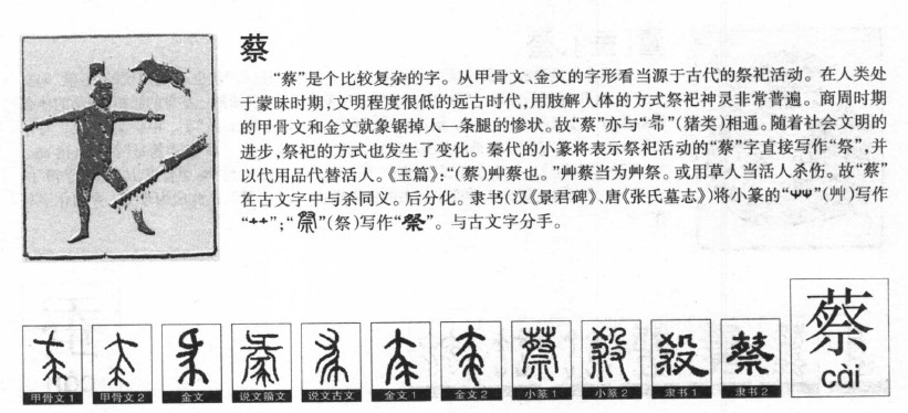 蔡字五行属什么-蔡字起名的寓意-蔡字意思