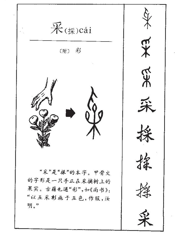 采字五行属什么-采字起名的寓意-采字意思