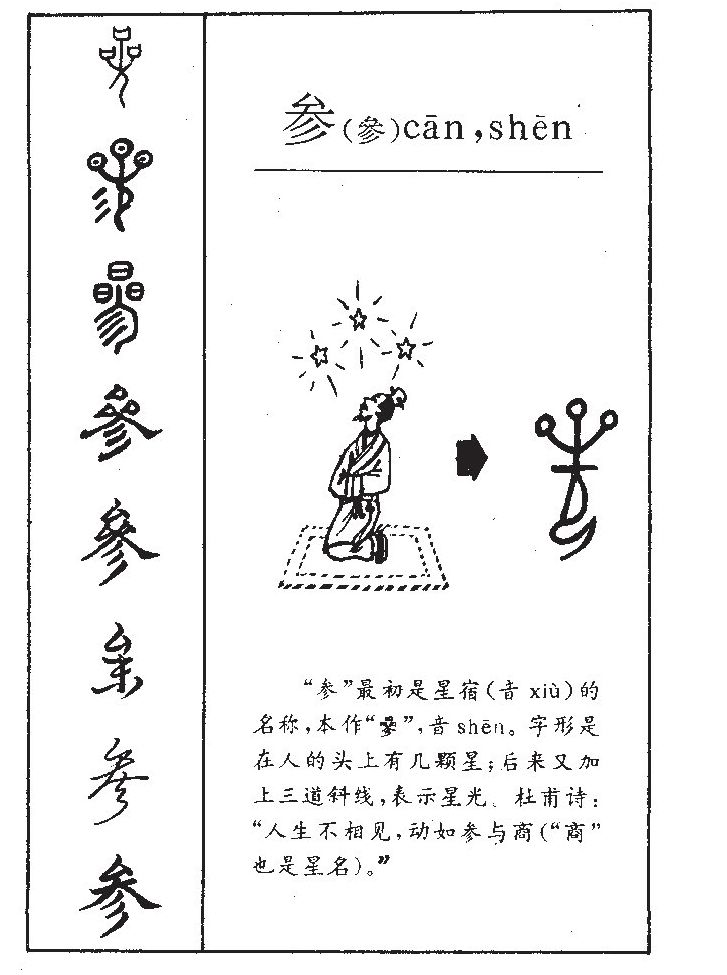 参字五行属什么-参字起名的寓意-参字意思