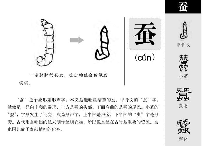 蚕字五行属什么-蚕字起名的寓意-蚕字意思