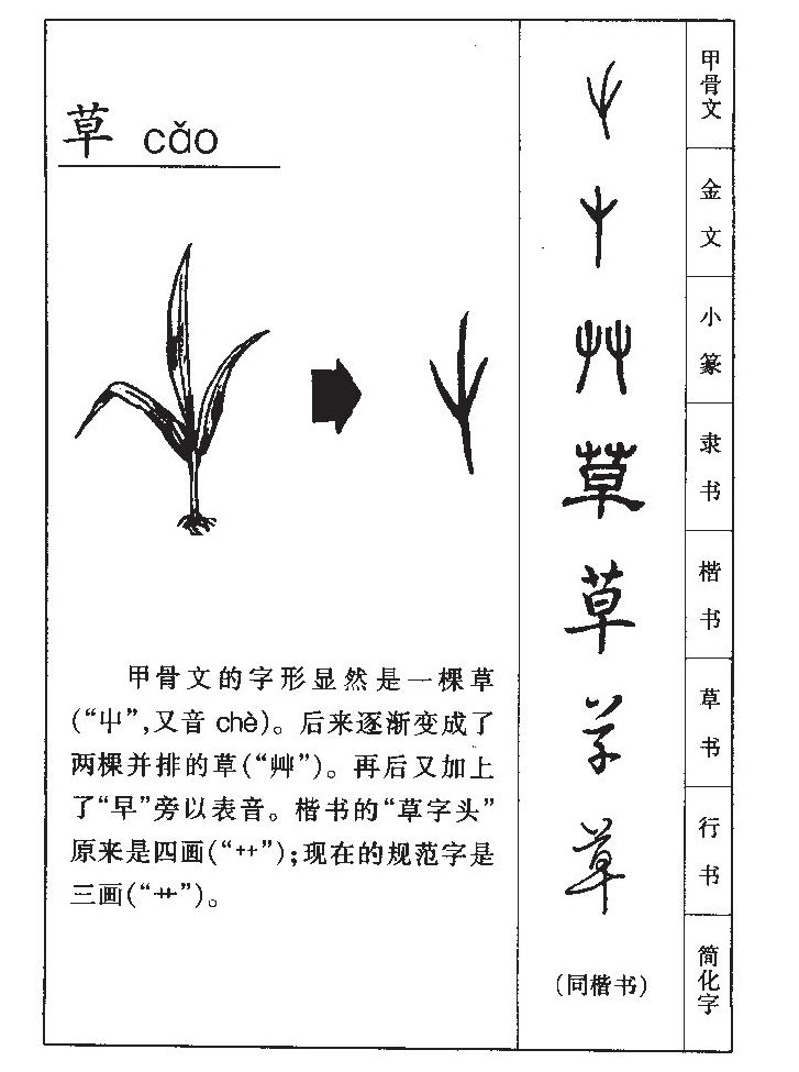草字五行属什么-草字起名的寓意-草字意思