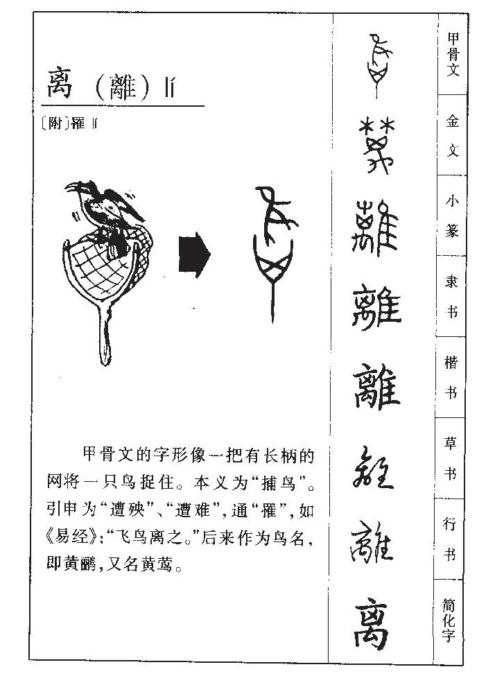 离字五行属什么-离字起名的寓意-离字意思