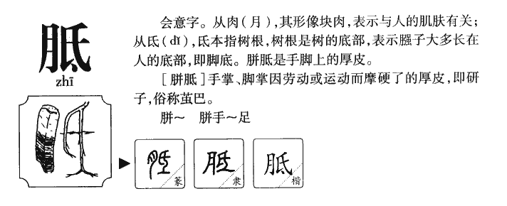 胝字五行属什么-胝字起名的寓意-胝字意思