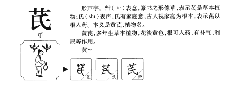 芪字五行属什么-芪字起名的寓意-芪字意思