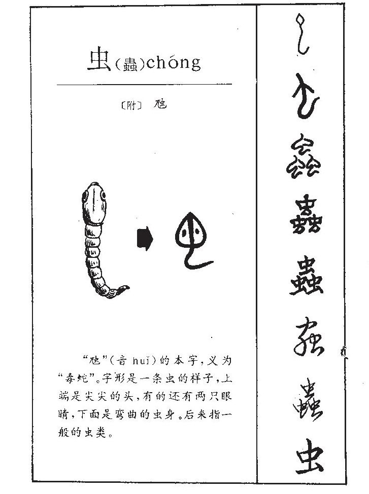 虫字五行属什么-虫字起名的寓意-虫字意思