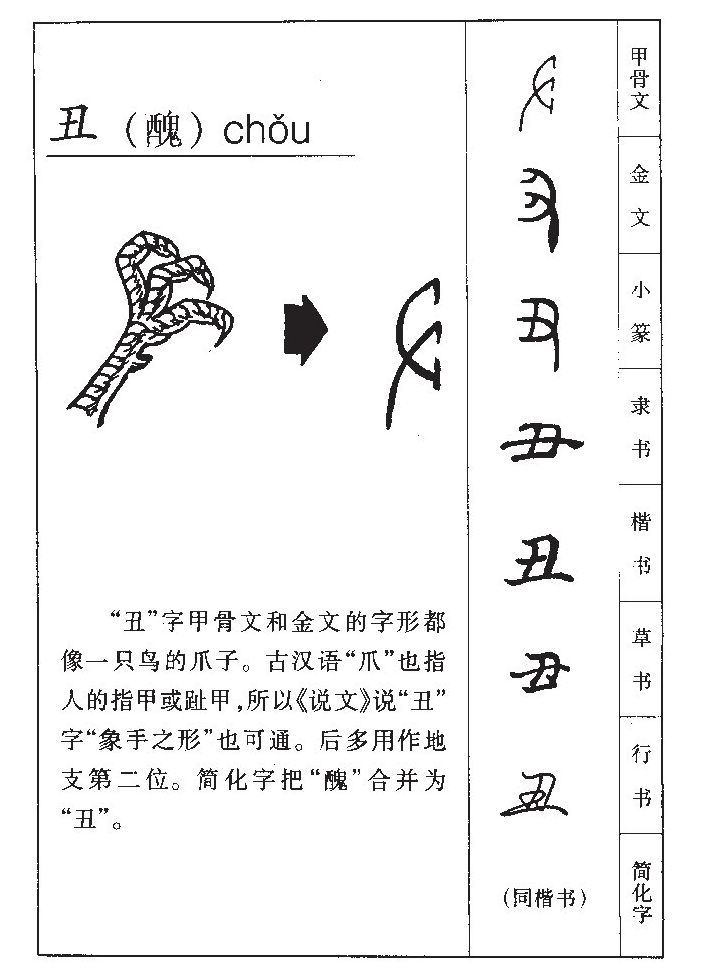 丑字五行属什么-丑字起名的寓意-丑字意思