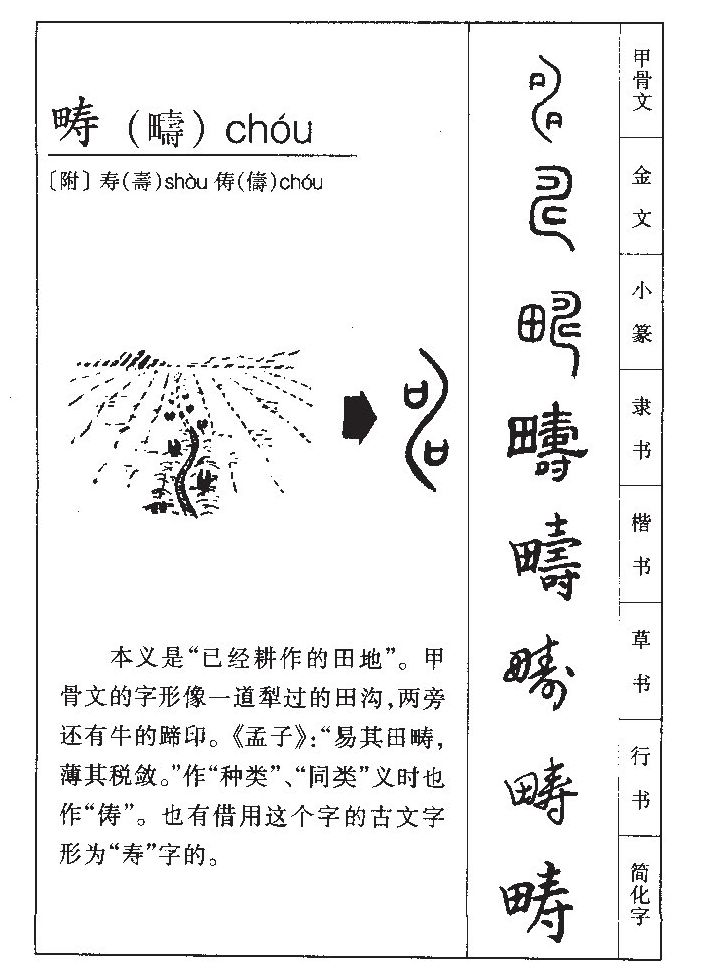 畴字五行属什么-畴字起名的寓意-畴字意思