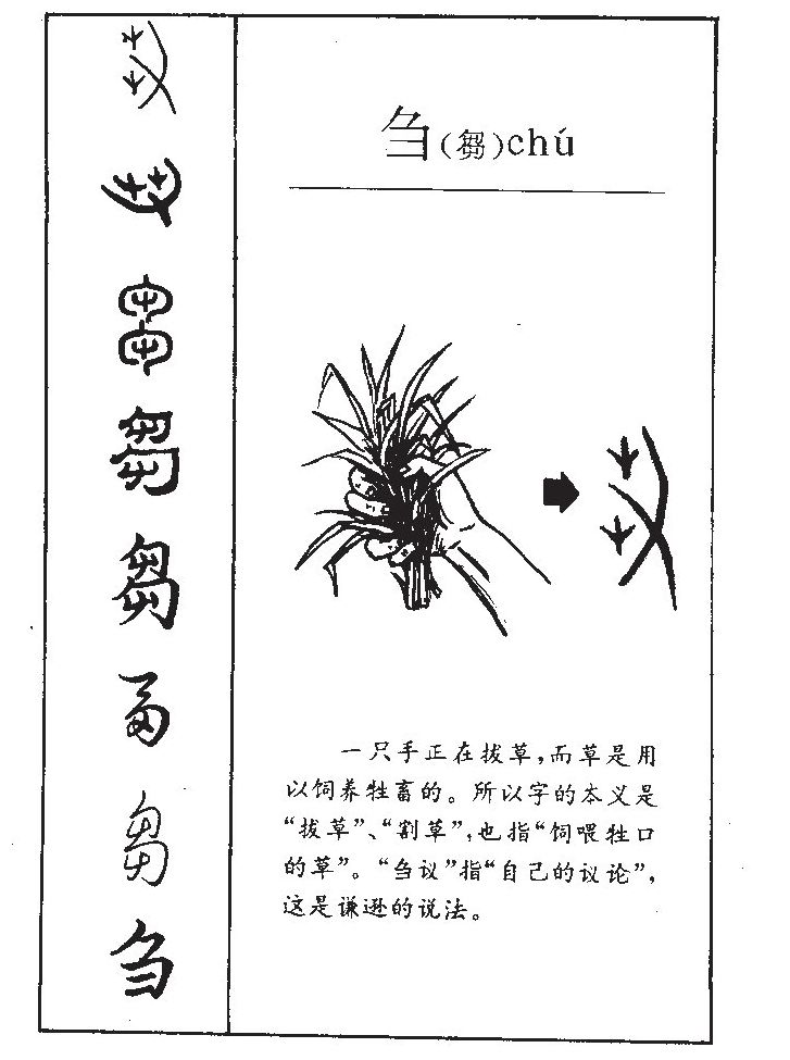 刍字五行属什么-刍字起名的寓意-刍字意思