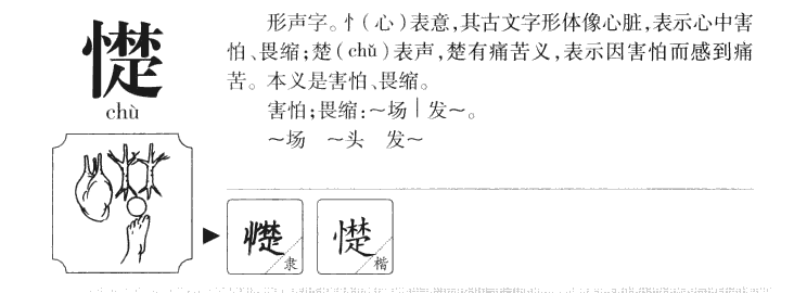 憷字五行属什么-憷字起名的寓意-憷字意思