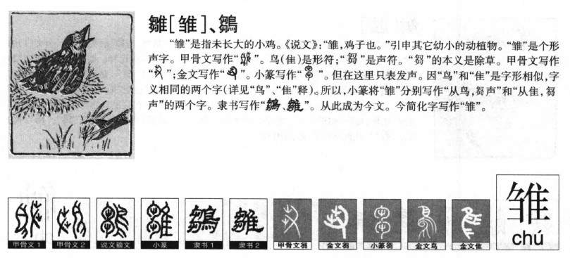 雏字五行属什么-雏字起名的寓意-雏字意思
