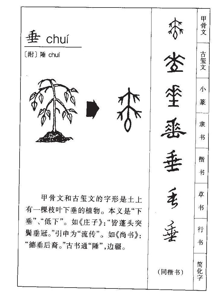 垂字五行属什么-垂字起名的寓意-垂字意思