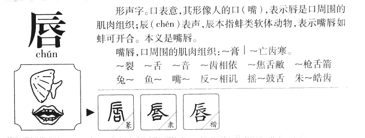 唇字五行属什么-唇字起名的寓意-唇字意思