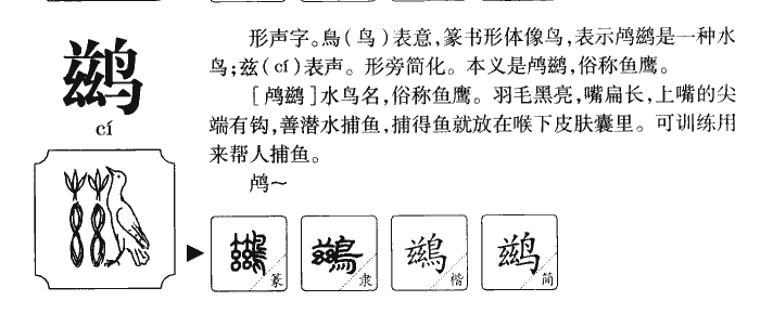 鹚字五行属什么-鹚字起名的寓意-鹚字意思